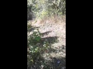 Video Bokep Kepergok Mesum Di Hutan Disuruh Lanjutin Ngentot Indian Videos