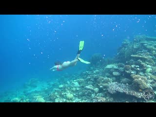 A walk among corals   Model Steppe Flower Camera Cinderella Girl - watch videos online 
